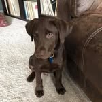 Michael Armato - @michael.armato.165 - Instagram