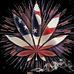Mike Armato - Facebook