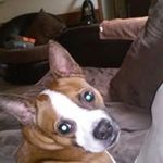 Michael Aronhalt - @michael.aronhalt.77 - Instagram
