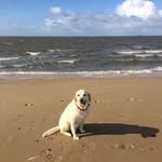 Michael Karrasch - @michael.karrasch71 - Instagram