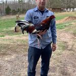 Michael Arrowood - @michael.arrowood.54 - Instagram
