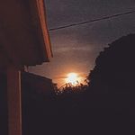 michael arrowood - @layzadisc - Instagram