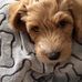 Michel Arseneau - Facebook