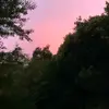 𝑚𝑖𝑐ℎ𝑎𝑒𝑙 🪐 - @michael.arth - TikTok