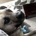 Michael Arth - Facebook