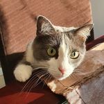 Michaela Rybová - @michaelarybova79 - Instagram