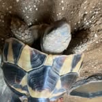 michael ashworth - @michael.ashworthx - Instagram
