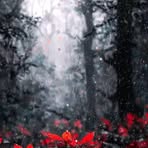 Michael Ashar - Facebook