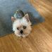Michael Ashline - Facebook