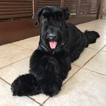 Michael Assad - @michaelassad1 - Instagram