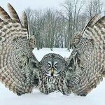 Michael Asselin - @mike119195 - Instagram