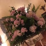 Michaela Stagno d'Alcontres - @michaelastagnodalcontres - Instagram