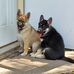 Michael Atchison - Facebook