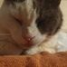 Michael Atherley - Facebook