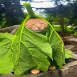 @michael.atkinson.worlds - Instagram