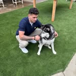 mike augello - @michael_augello4 - Instagram