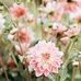 Michael Augustine - Facebook