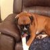 Michael Augustyn - Facebook