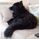 Michael Auld - @its_me_michael_auld - Instagram