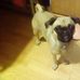 Michael Aungst - Facebook