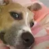 michaelaurich5710 - @michaelaurich5710 - TikTok