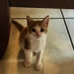 Michael Avendaño - @michael._.avendano - Instagram