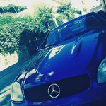 Michael Avola - @michaelavola1 - Instagram
