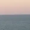 Michael Avolio305 - @mikejen608 - TikTok