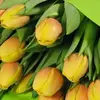 Michael_Ayad56 - @Michael_Ayad56 - TikTok