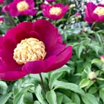Michael Vazzano - @michael.vazzano - Instagram