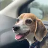 michaelbabb577 - @michaelbabb577 - TikTok