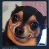 followmetogetfollowers8 - @michaelbackupaccount1 - TikTok