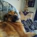Michael Baer - Facebook