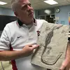 michaelbaer227 - @michaelbaer227 - TikTok