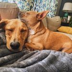Michael and Sally Bahlmann - @mikey_and_sally - Instagram