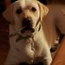 Mike Baize - Facebook