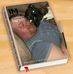 Mike Baldinelli - Facebook