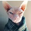 Michael Baldrey - @michael.baldrey - TikTok