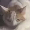 Michael Balkon - @michael.balkon59 - TikTok