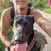 Michal Balko - Facebook