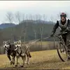 Michal Balko - @michalbalko - TikTok