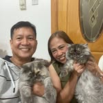 Michael Baltazar - @michael.baltazar.963 - Instagram