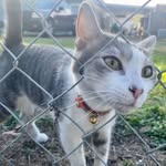 Michael Baltzell - @passagekey1 - Instagram
