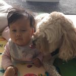 Michael Banh - @michaelbanh - Instagram