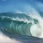 Michael Banister - @nabosharks - Instagram