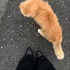🤍 - @michael.bard - TikTok