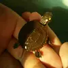 Mike - @michael.bard.shev - TikTok