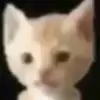 Michael Bark - @michaelbark74 - TikTok