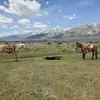 Michael Barkdull - @michael.barkdull - TikTok