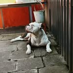 Michael Barkholz - @michael.barkholz.9 - Instagram